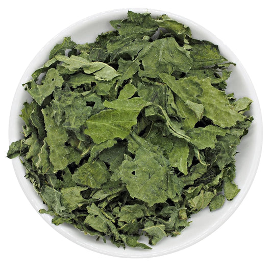 Bio Brennnesselblätter - Premiumqualität