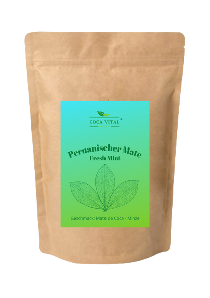 Fresh Mint (Mate de Coca + Minze)